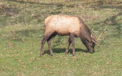 Looks Good Looks Good