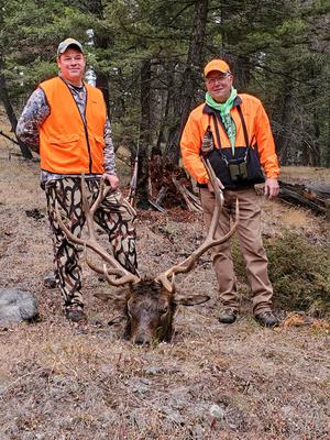 Son in laws first mature bull 2021