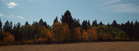 Garrison Montana Area
