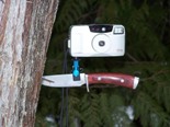 Mini Camera Mount
