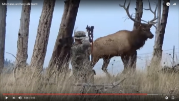 Elk hunting videos store