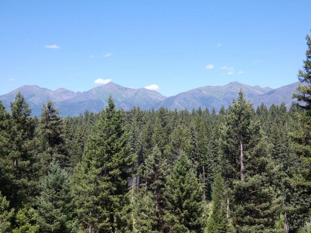 Seeley Lake View