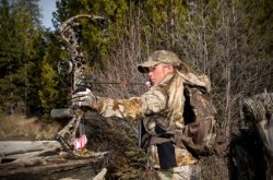 Bow Hunting Elk: Hunt the Rut and You Will Encounter Wapiti!
