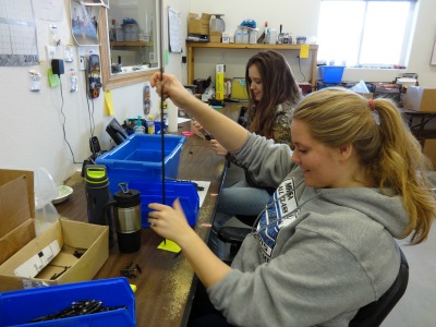 Quality Assurance at Trophy Taker