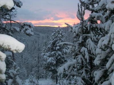 My favorite picture of the trip.