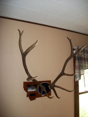 The finished product, did it myself!