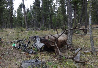 Result of Cold Calling Sequence