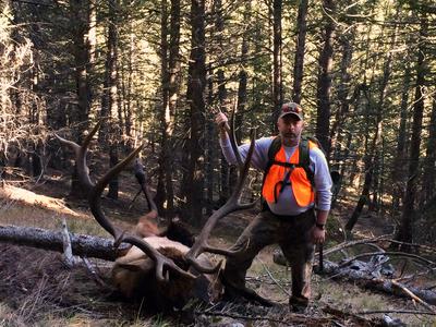 180 grain Barnes Triple Shock Bullet 99.88% Retention