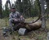 2016 Elk Success