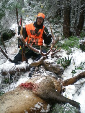 My first kill after 15 years