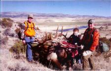 Big Bull Elk on Game Cart